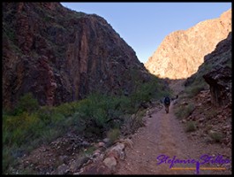 Der Weg ist noch schattig Der Weg ist noch schattig