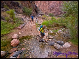 Immer wieder Bachüberquerungen Immer wieder Bachüberquerungen
