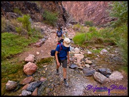 Immer wieder Bachüberquerungen Immer wieder Bachüberquerungen