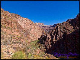 Blick zurück Blick zurück