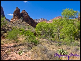 Immer wieder grüne Flecken Immer wieder grüne Flecken