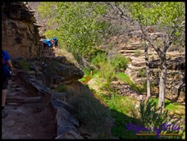 Indian Gardens Indian Gardens