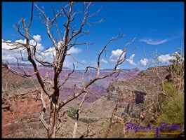 Bald geschafft Bald geschafft