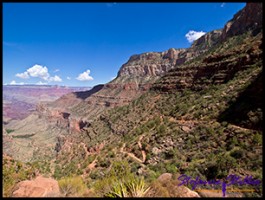 Rückblick zum 1,5-Mile-House Rückblick zum 1,5-Mile-House
