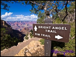 Angekommen! Angekommen!