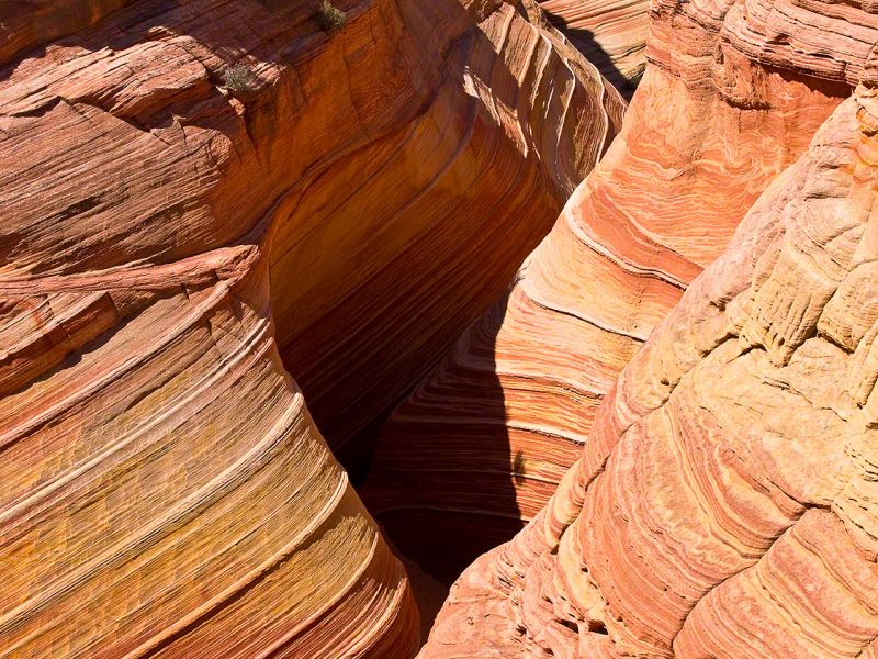 Coyote Buttes North - The Wave Coyote Buttes North - The Wave