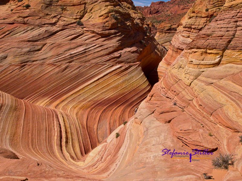 Coyote Buttes North - The Wave Coyote Buttes North - The Wave
