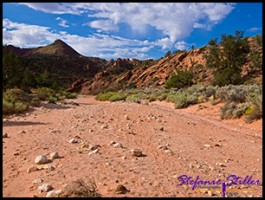 Trail zur Wave 01 Trail zur Wave 01