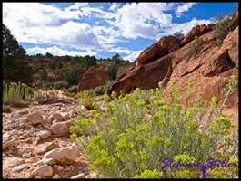 Trail zur Wave 02 Trail zur Wave 02