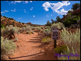 Trail zur Wave 01 Trail zur Wave 01