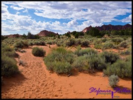 Trail zur Wave 01 Trail zur Wave 01