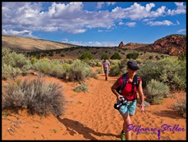 Trail zur Wave 01 Trail zur Wave 01