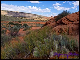 Trail zur Wave Trail zur Wave