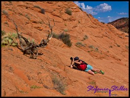 Trail zur Wave Trail zur Wave