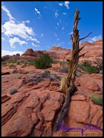 Trail zur Wave Trail zur Wave