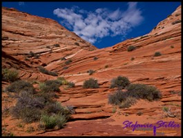 Trail zur Wave Trail zur Wave