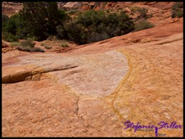 Trail zur Wave Trail zur Wave