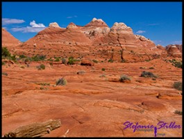 Trail zur Wave Trail zur Wave