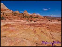 Trail zur Wave Trail zur Wave