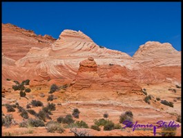 Trail zur Wave Trail zur Wave