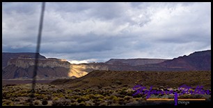 909 Sunbeam 01 909 Sunbeam 01