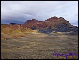 909 Way back 11 909 Way back 11