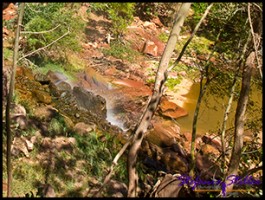 910 Lower Emerald Pool 04 910 Lower Emerald Pool 04