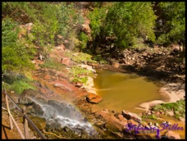 910 Lower Emerald Pool 05 910 Lower Emerald Pool 05