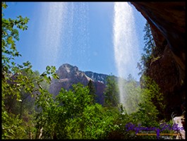 910 Lower Emerald Pool 06 910 Lower Emerald Pool 06