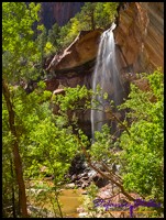 910 Lower Emerald Pool 09 910 Lower Emerald Pool 09