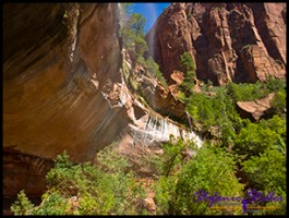 910 Lower Emerald Pool 10 910 Lower Emerald Pool 10