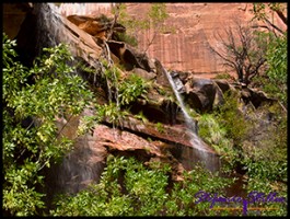 910 Lower Emerald Pool 11 910 Lower Emerald Pool 11