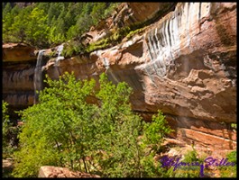 910 Lower Emerald Pool 12 910 Lower Emerald Pool 12