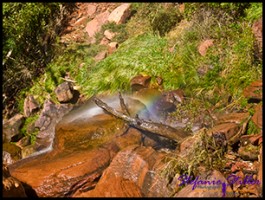 910 Lower Emerald Pool 13 910 Lower Emerald Pool 13