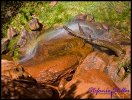 910 Lower Emerald Pool 14 910 Lower Emerald Pool 14