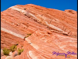 Umgebung Fire Wave Umgebung Fire Wave