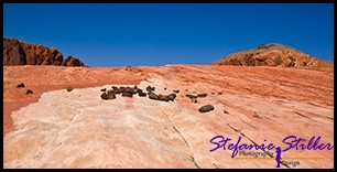 Trail zur Fire Wave Trail zur Fire Wave