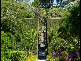 SC Abby Garden 03 SC Abby Garden 03