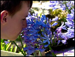 SC Abby Garden 04 SC Abby Garden 04