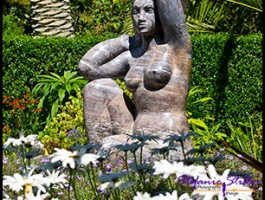 SC Abby Garden 14 SC Abby Garden 14