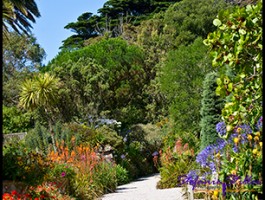 SC Abby Garden 15 SC Abby Garden 15