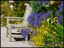 SC Abby Garden 16 SC Abby Garden 16