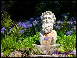 SC Abby Garden 19 SC Abby Garden 19