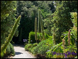 SC Abby Garden 27 SC Abby Garden 27