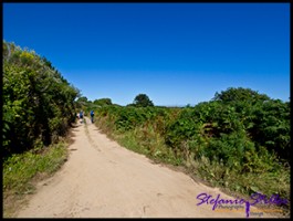 SC St Marys 19 SC St Marys 19