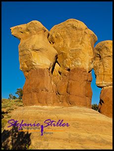 807 Devils Kamel 807 Devils Kamel