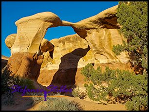 807 Devils Kreisplatz 807 Devils Kreisplatz