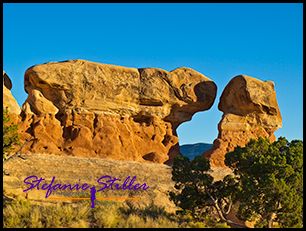 807 Devils Nilpferd 807 Devils Nilpferd