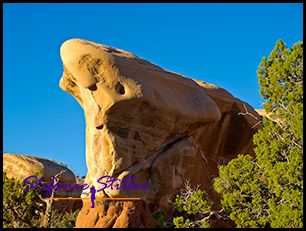 807 Devils lustiges Kerlchen 807 Devils lustiges Kerlchen