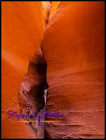 807 Spooky 02 807 Spooky 02